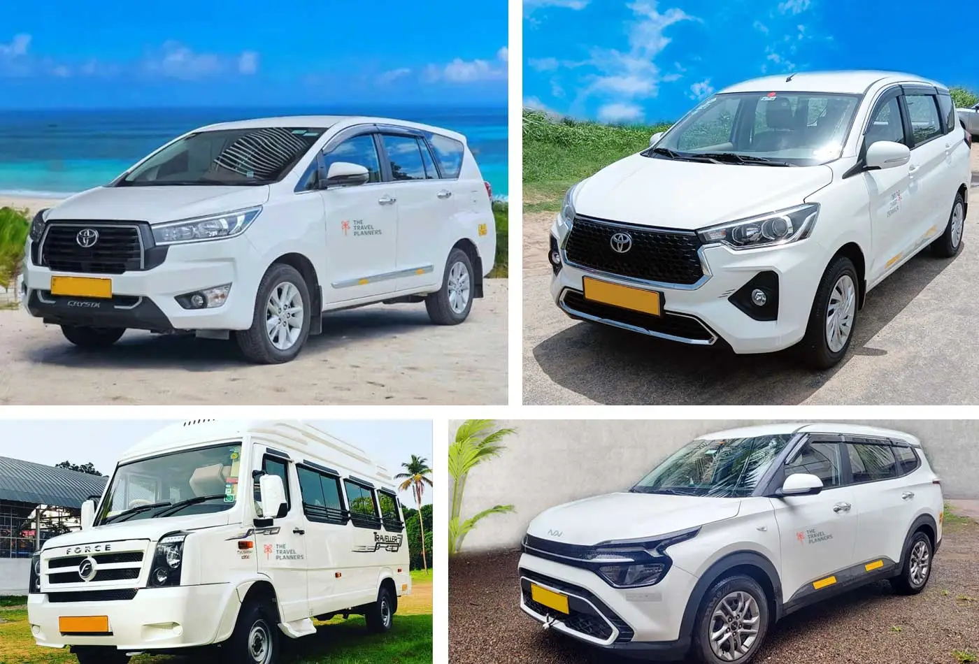 Local Car Rental